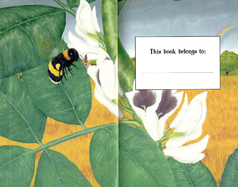 启蒙英语绘本Amazing Plants.pdf,第2页预览