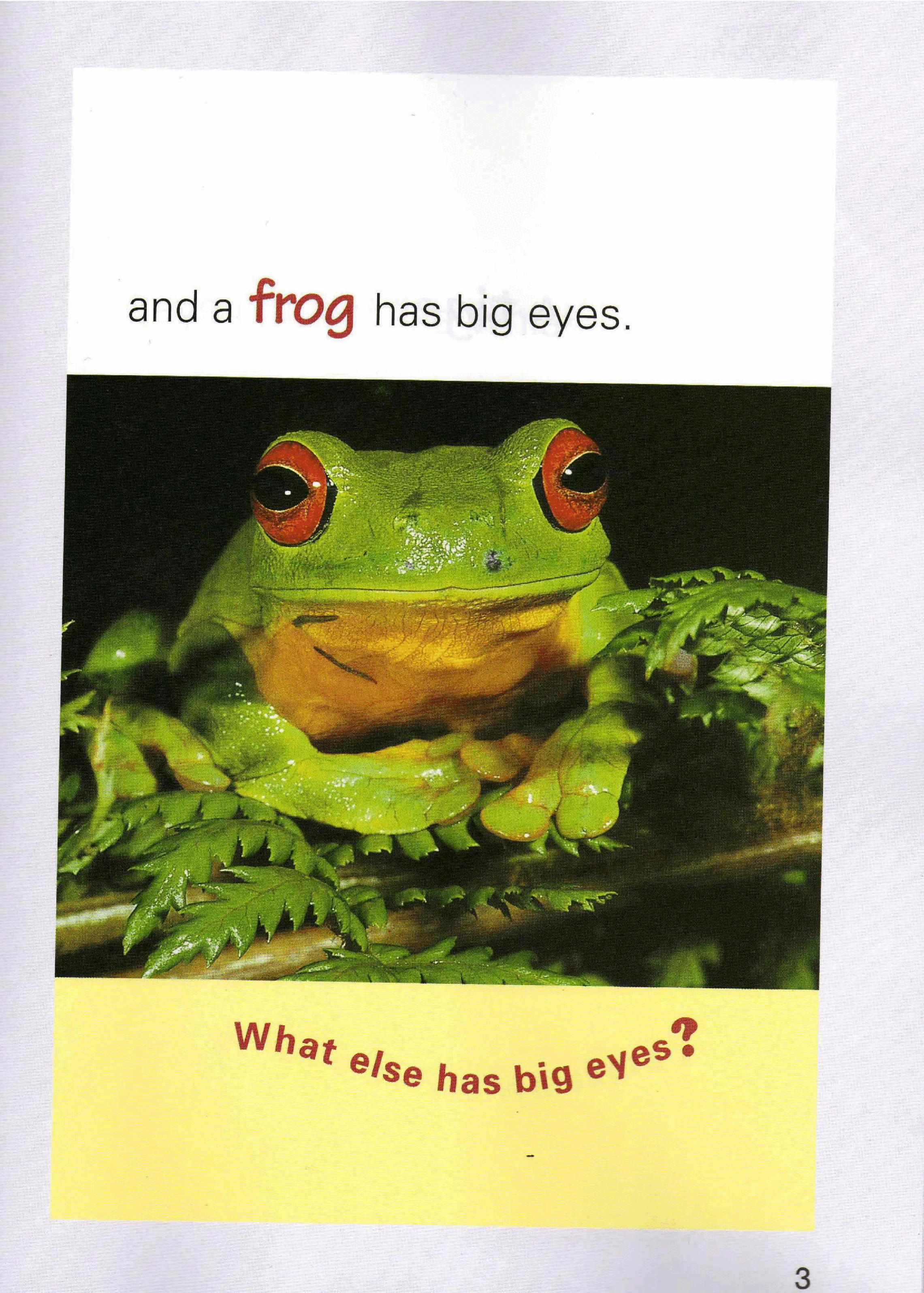 国家地理少儿百科提高级Early02 A Frog Has a Sticky Tongue 课文.pdf,第3页预览
