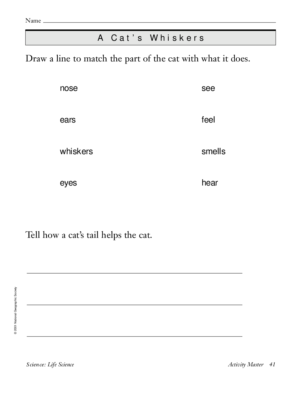 国家地理百科流利级英文绘本Fluent13 a cat's whiskers 教学指导.pdf,第4页预览