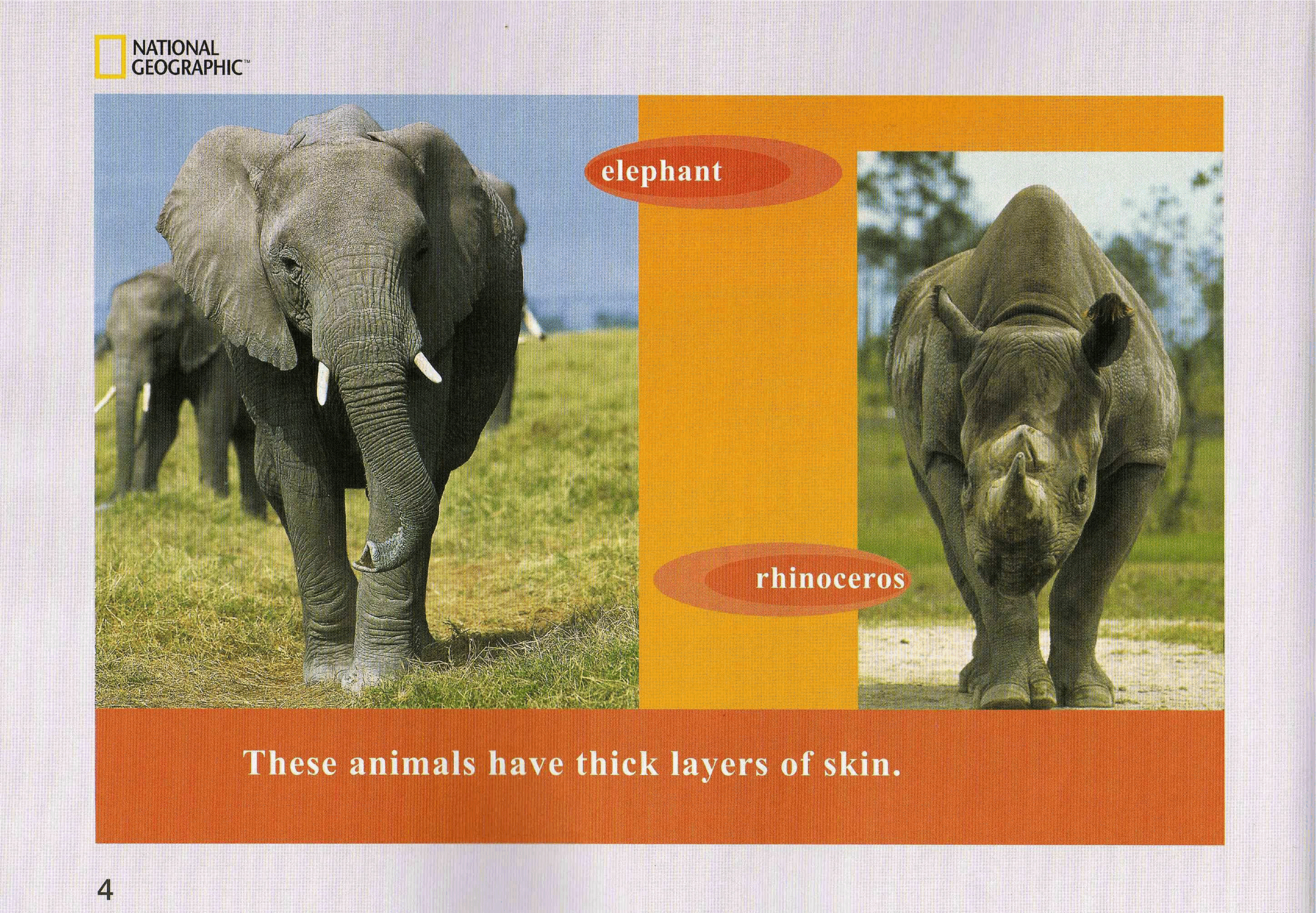 国家地理少儿百科提高级Early23 Animal Armor 课文.pdf,第4页预览