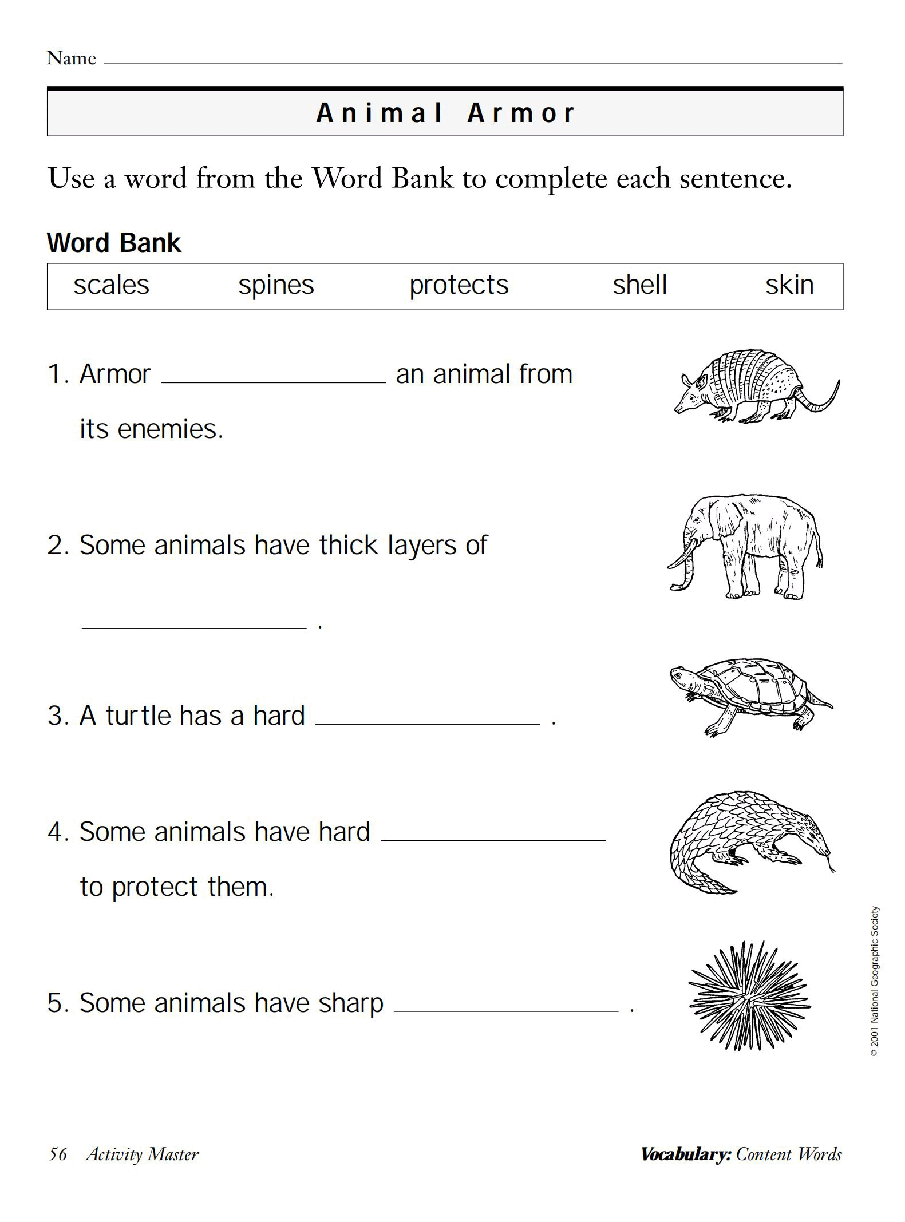国家地理少儿百科提高级Early23 Animal Armor 教学指导.pdf,第3页预览