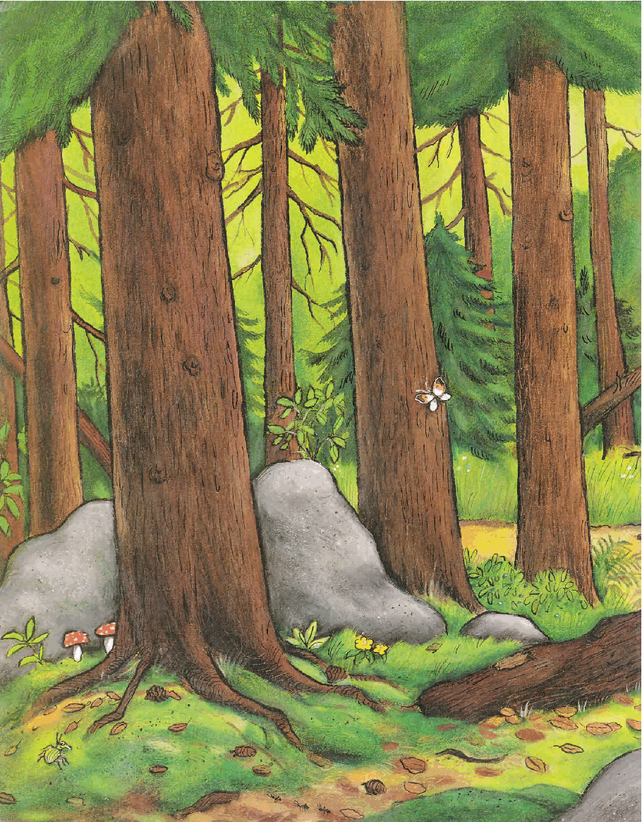 获奖精品绘本The GRUFFALO.pdf，第3页预览