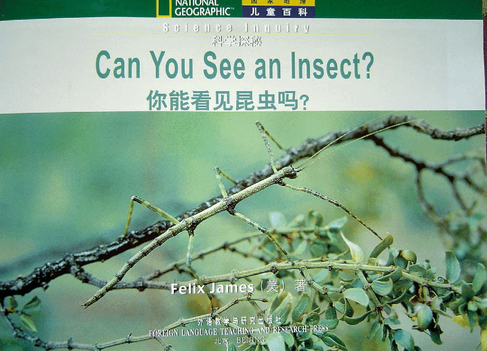 国家地理百科流利级英文绘本Fluent05 can you see an insect 课文.pdf,第3页预览