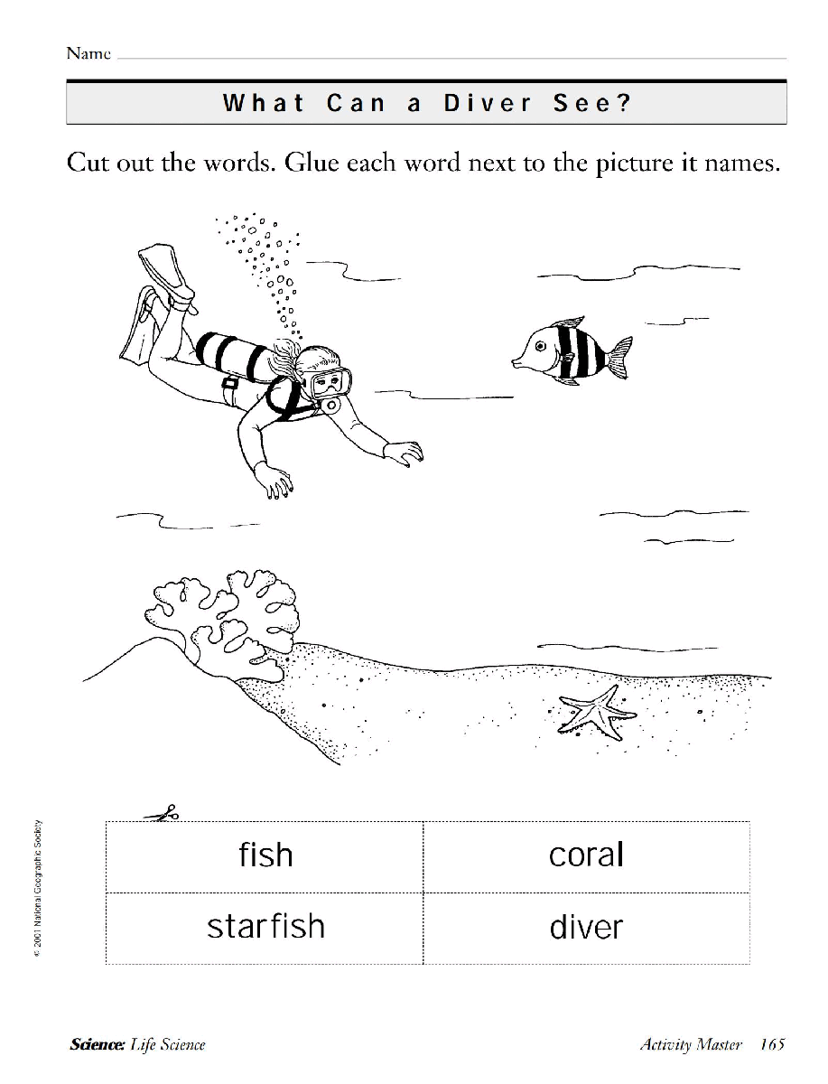 国家地理少儿百科入门级Emergent01 what can a diver see 教学指导.pdf，第4页预览