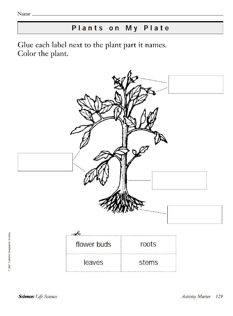 国家地理少儿百科提高级Early11 Plants on My Plate 教学指导.pdf,第4页预览