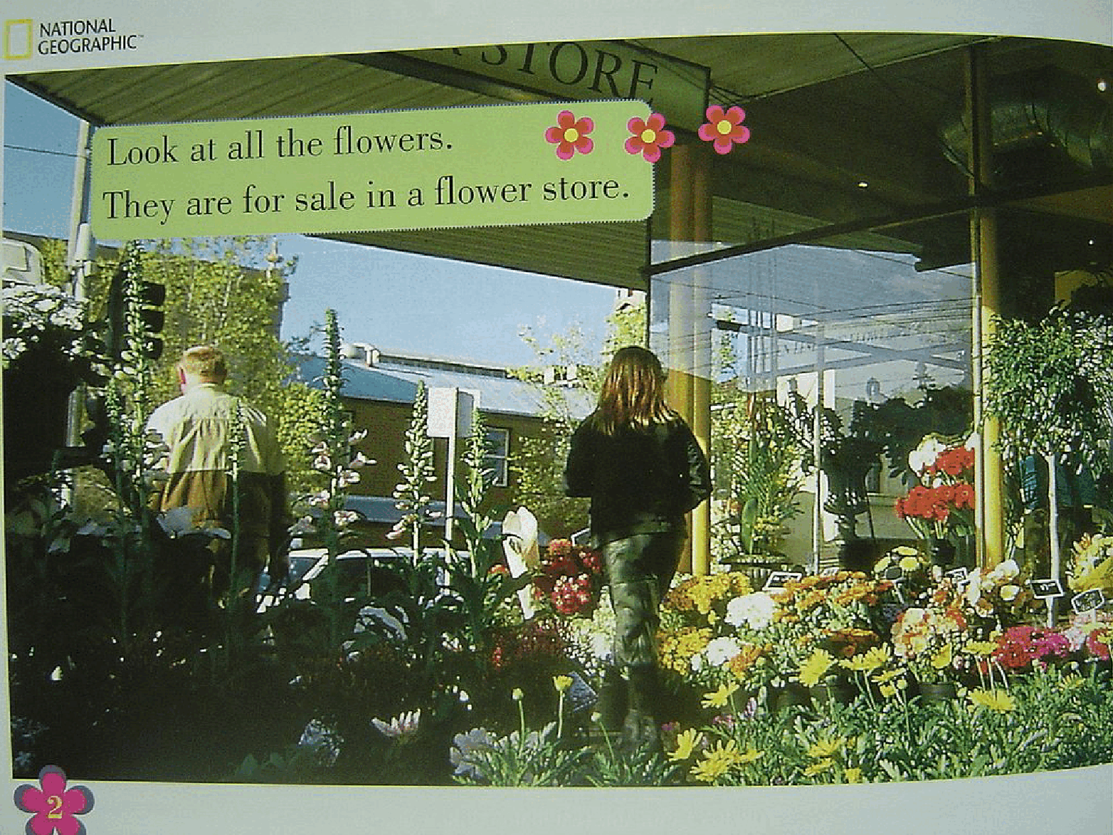 国家地理百科流利级英文绘本Fluent06 from field to florist 课文.pdf,第4页预览