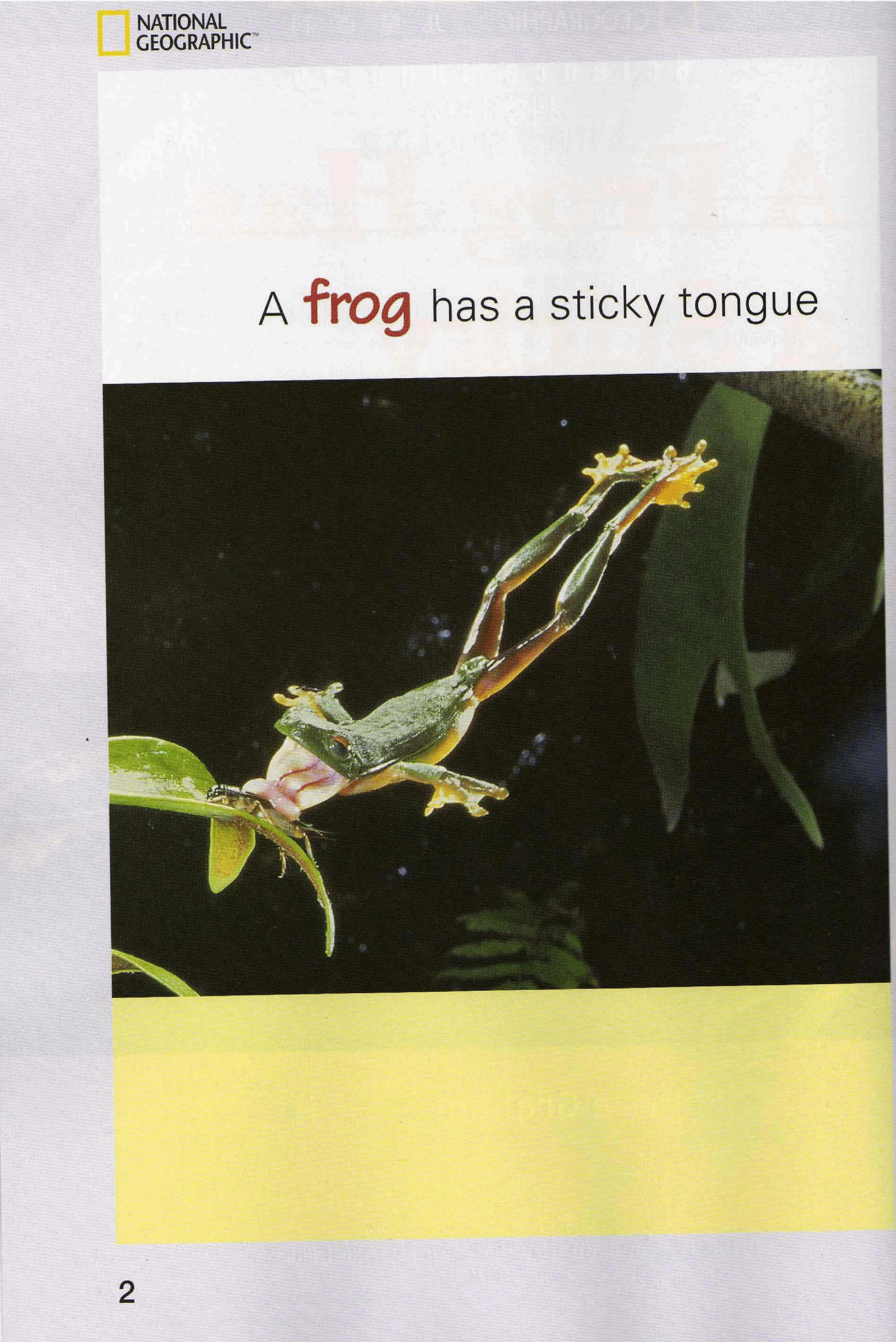 国家地理少儿百科提高级Early02 A Frog Has a Sticky Tongue 课文.pdf,第2页预览