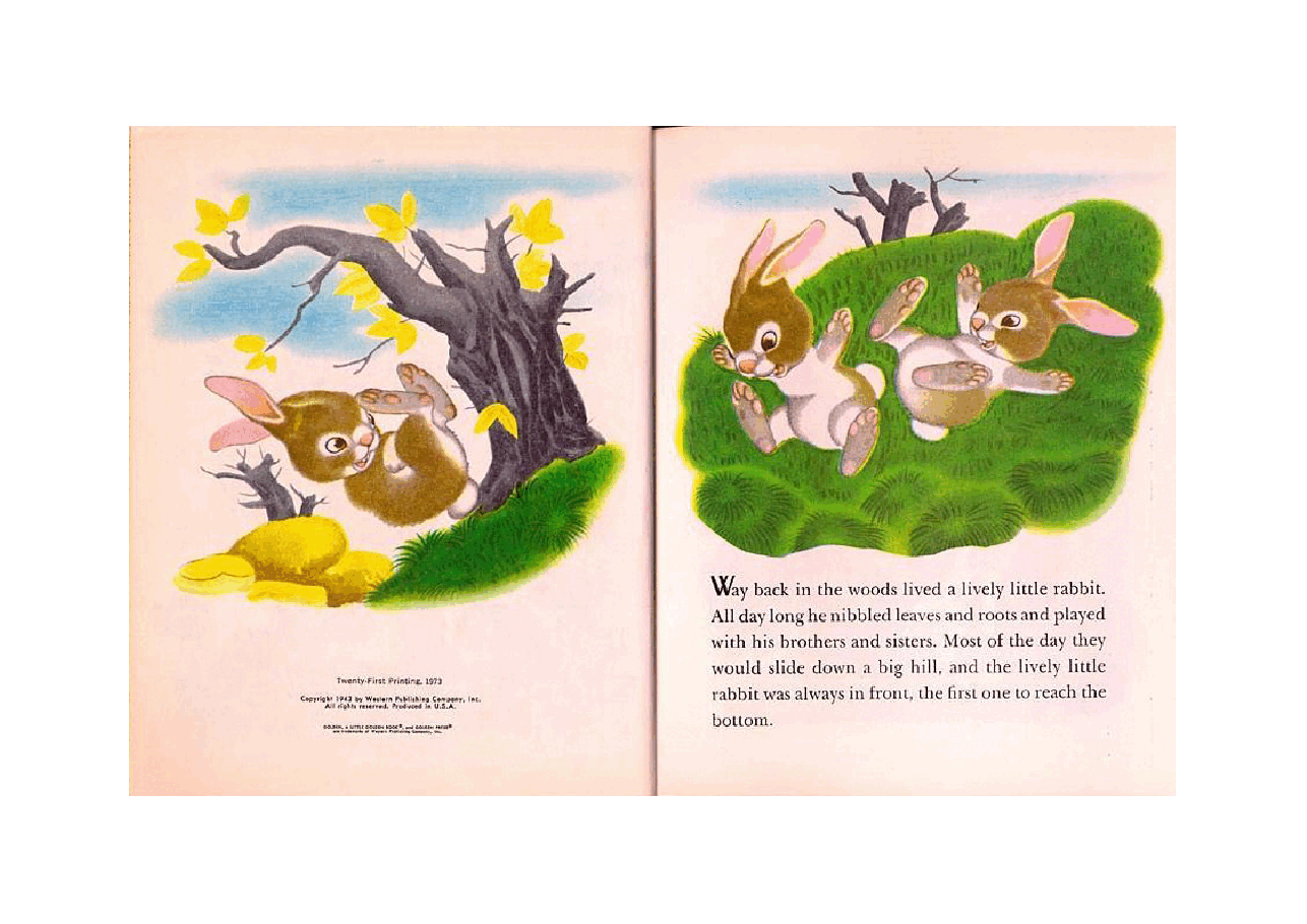 名家精选英语绘本Little Golden Book 0551 The Lively Little Rabbit (Little Golden Book 551) (1973).pdf,第3页预览