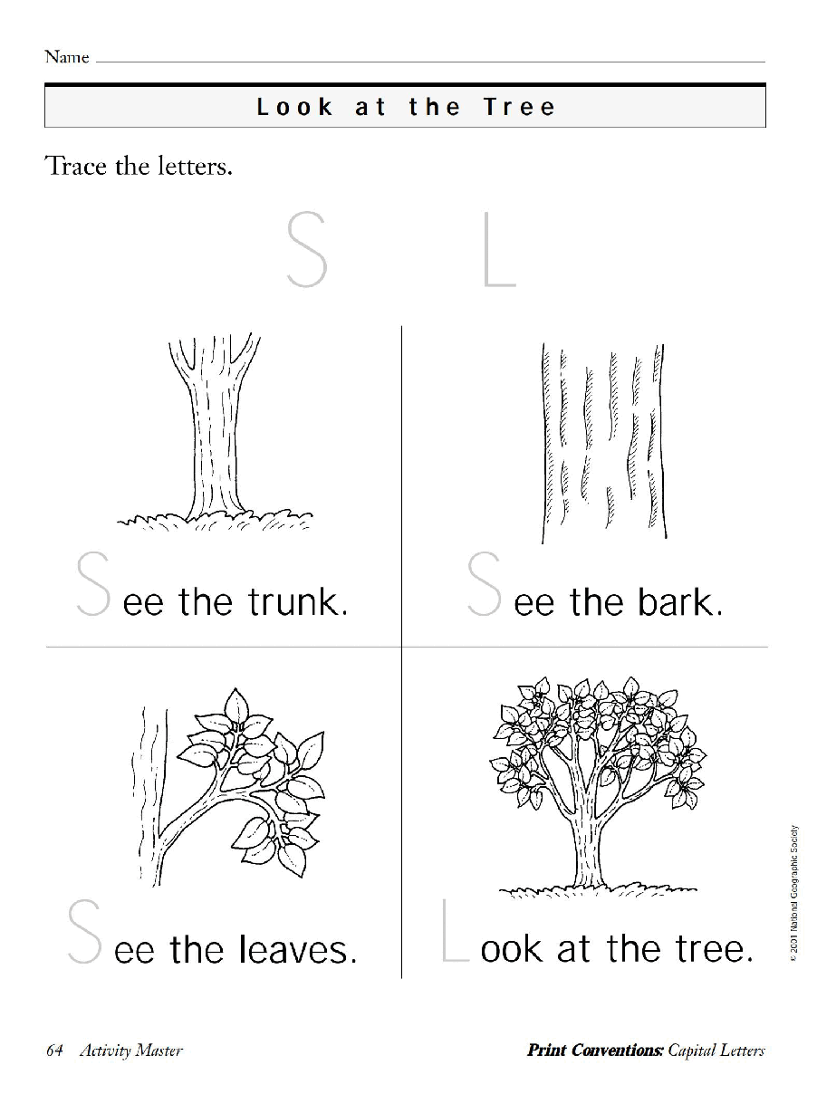 国家地理少儿百科入门级Emergent02 look at the tree 教学指导.pdf,第3页预览