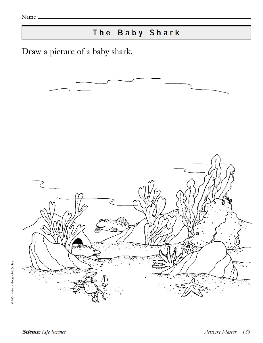 国家地理少儿百科入门级Emergent11 the baby shark 教学指导.pdf，第4页预览