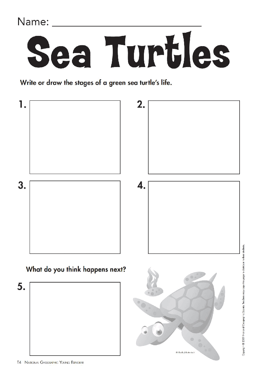 美国国家地理幼儿版teacher-guide(1).pdf,第4页预览