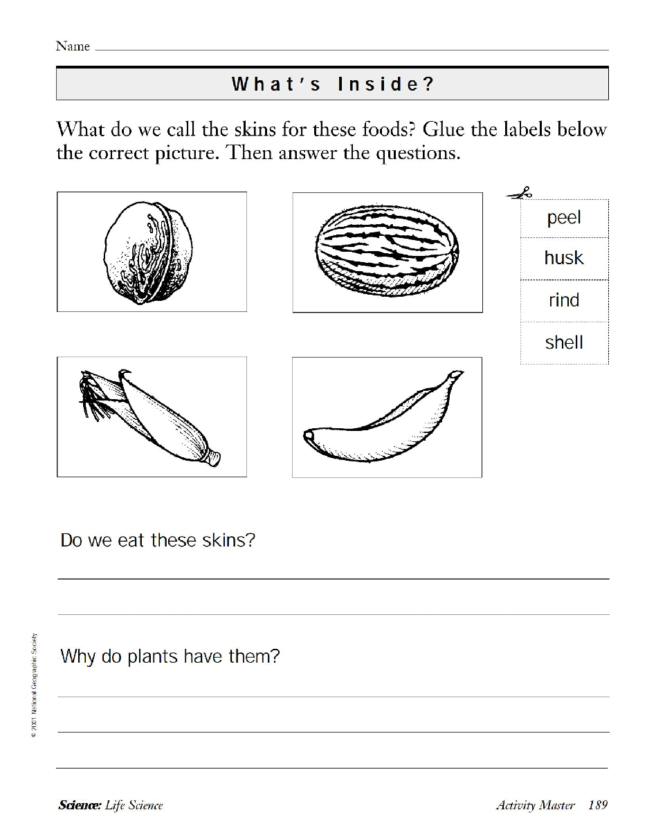 国家地理少儿百科提高级Early16 What's Inside 教学指导.pdf,第4页预览