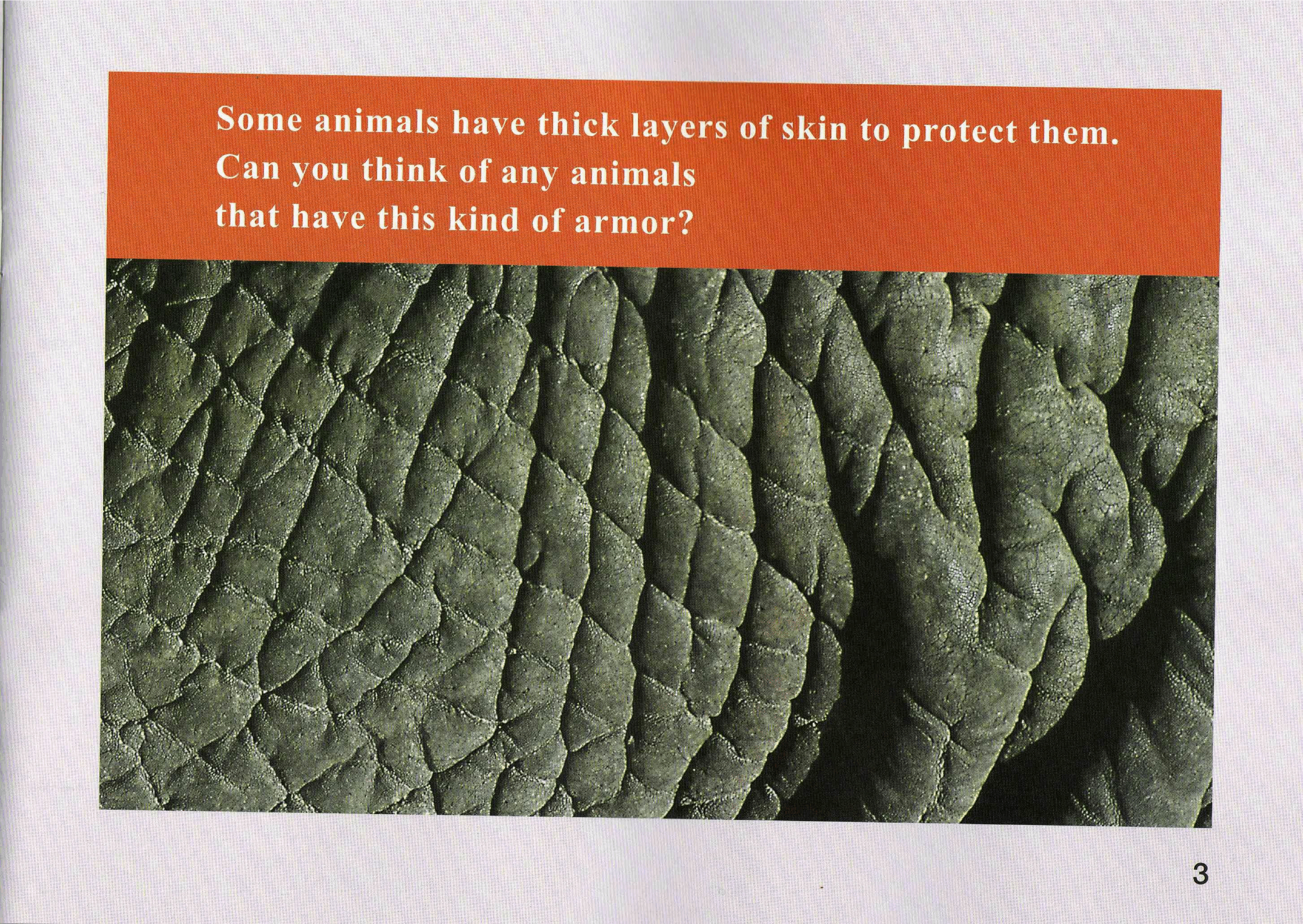 国家地理少儿百科提高级Early23 Animal Armor 课文.pdf,第3页预览