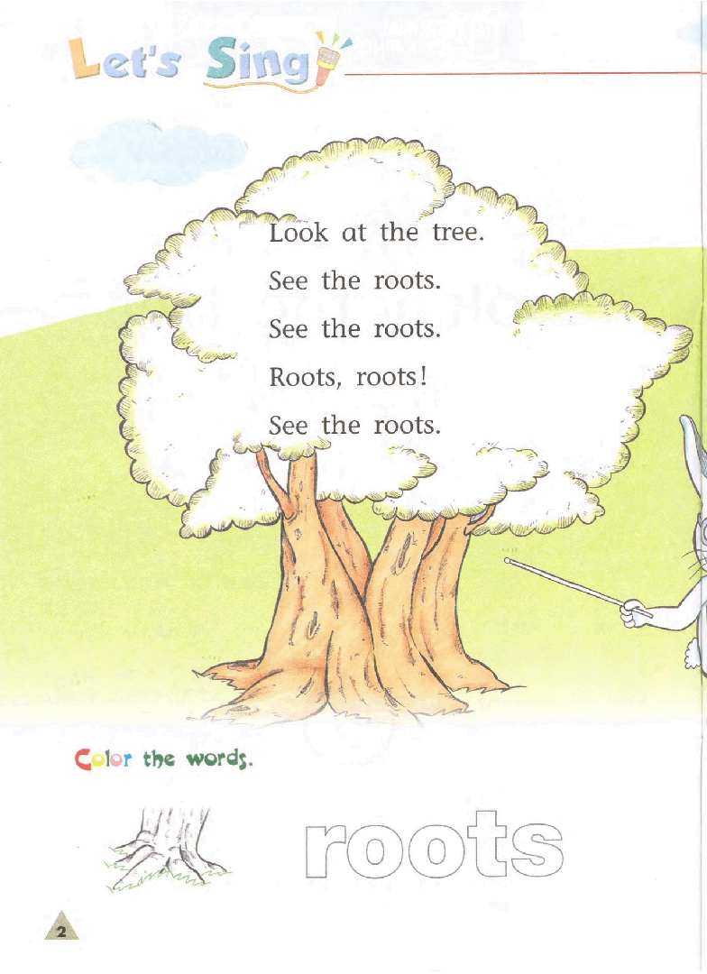 国家地理少儿百科入门级Emergent02 look at the tree 练习册.pdf,第4页预览