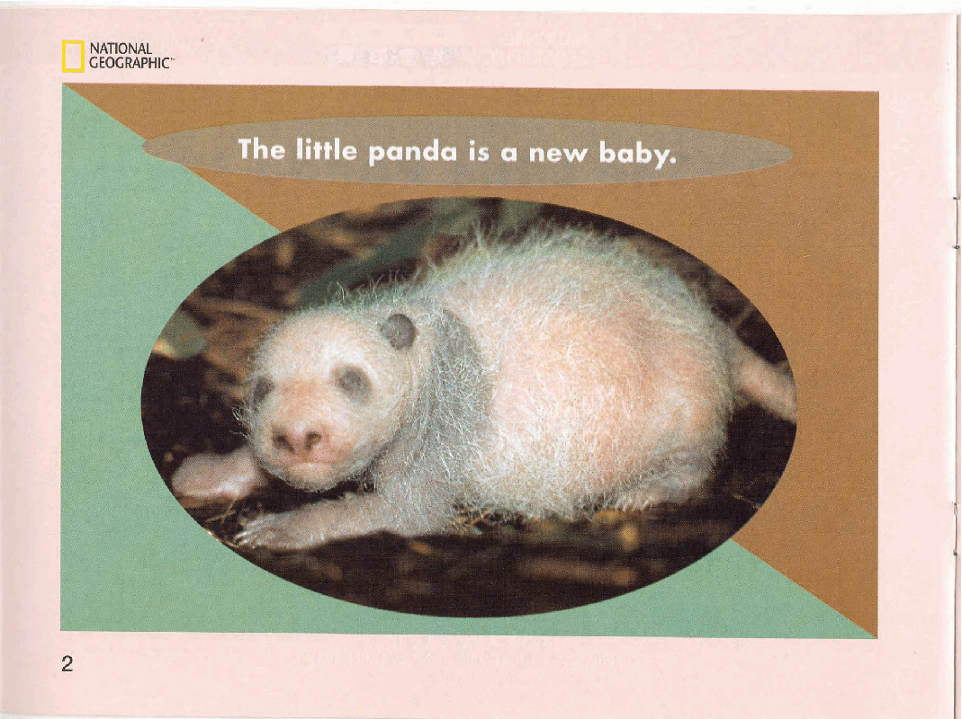 国家地理少儿百科入门级Emergent14 the little panda 课文.pdf,第4页预览