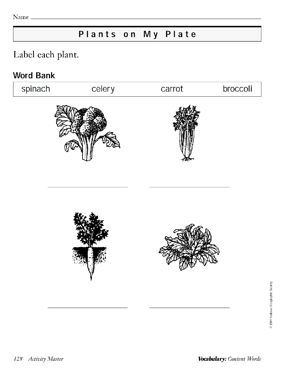 国家地理少儿百科提高级Early11 Plants on My Plate 教学指导.pdf,第3页预览