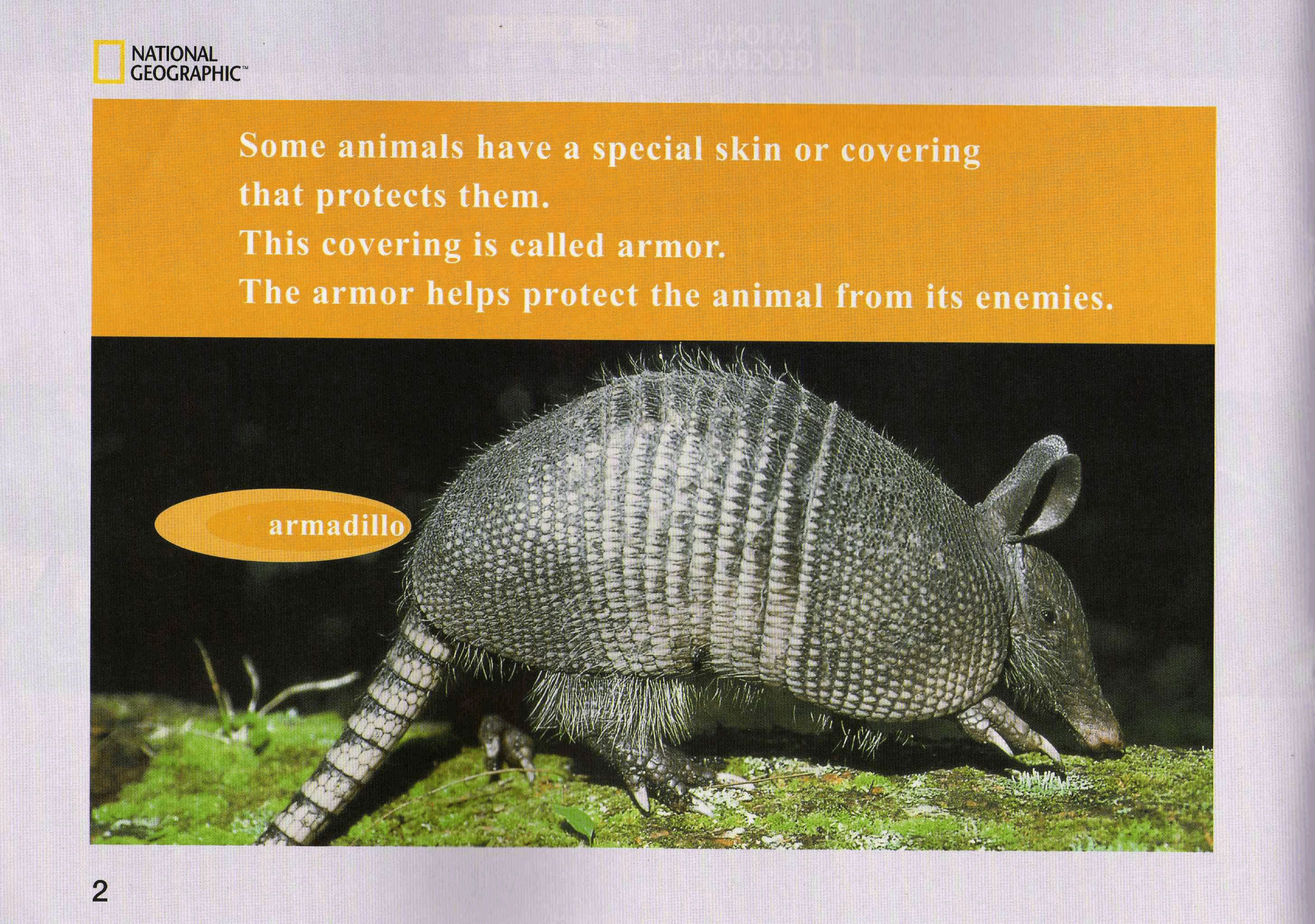 国家地理少儿百科提高级Early23 Animal Armor 课文.pdf,第2页预览