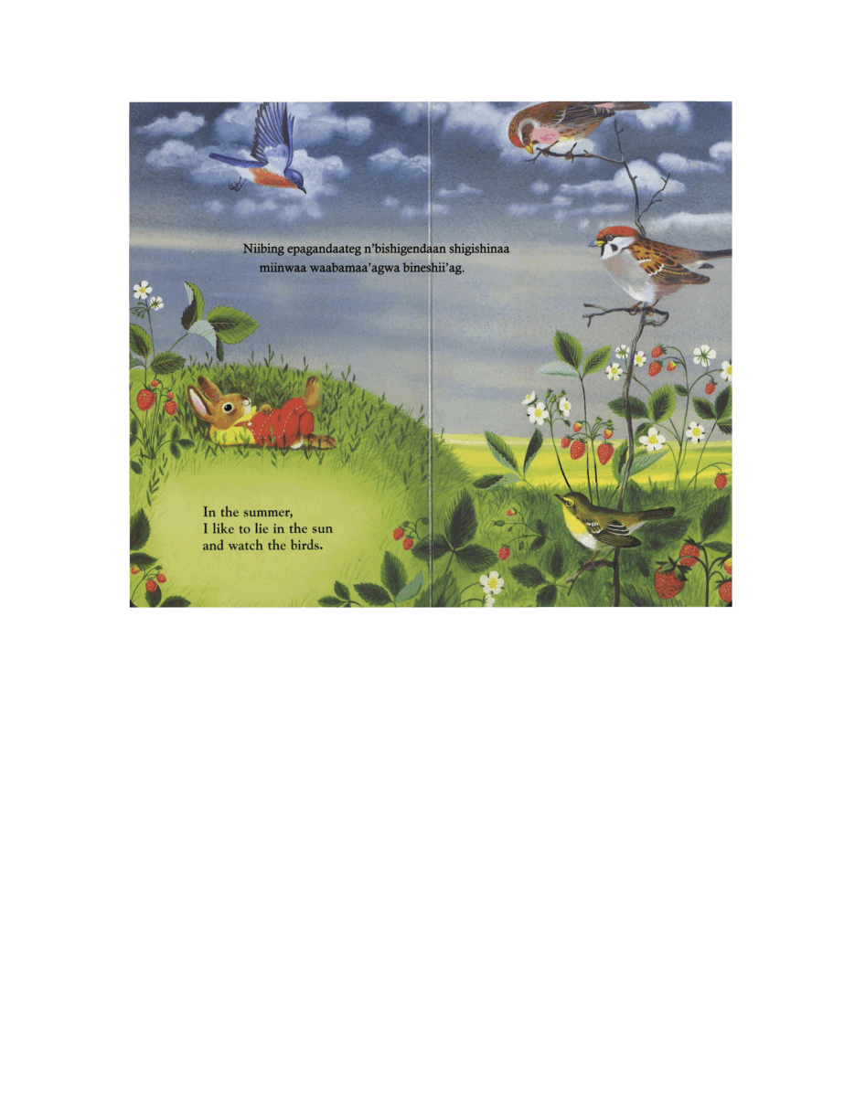 I am a Bunny Story我是一只小兔子.pdf,第4页预览