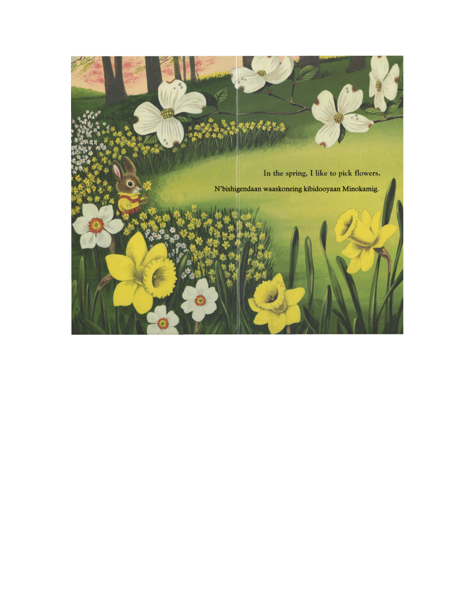 I am a Bunny Story我是一只小兔子.pdf,第2页预览