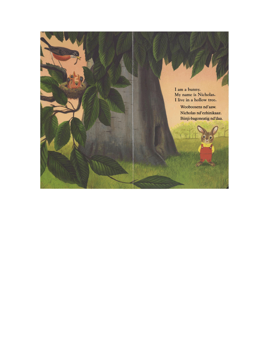 I am a Bunny Story我是一只小兔子.pdf,第1页预览