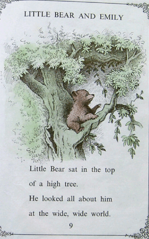 英文启蒙绘本3 Little bear's friend.pdf,第2页预览