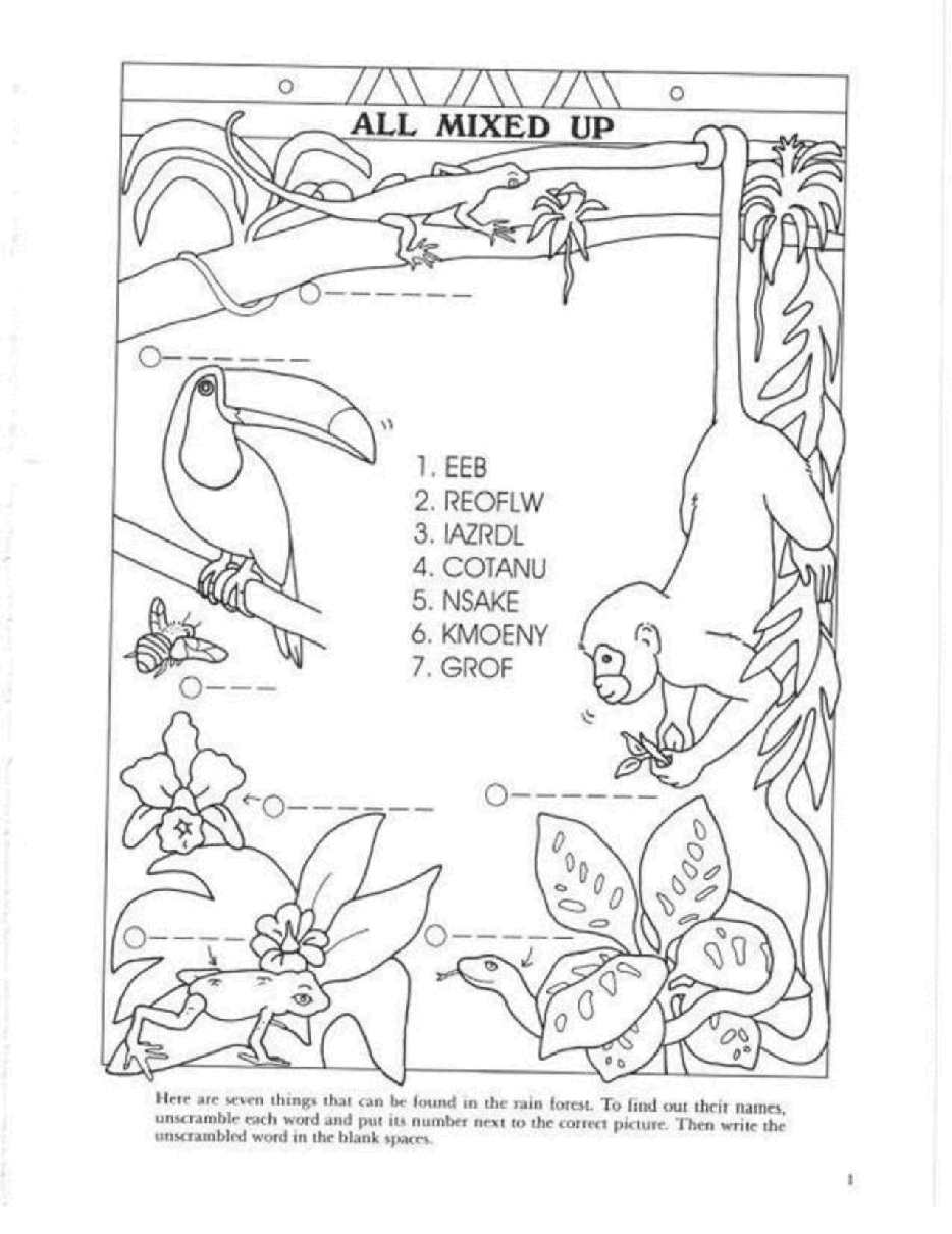 Dover Coloring Book - Rain Forest Activity Book (1995) (LQ).pdf,第3页预览