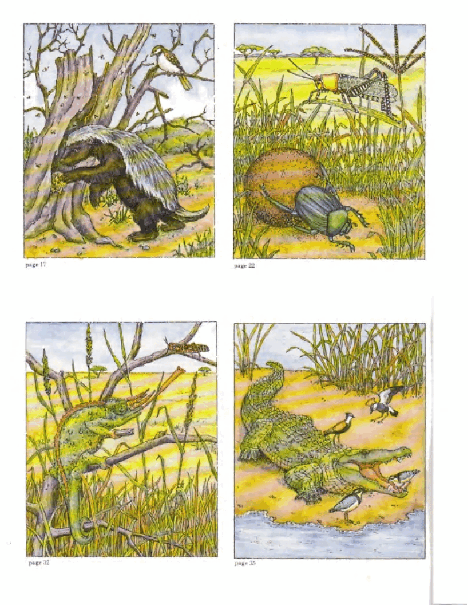 Dover Coloring Book - African Plains (LQ).pdf,第2页预览