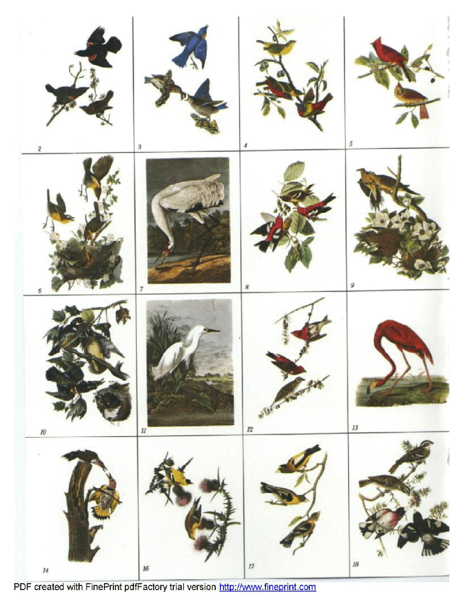 Dover Coloring Book - Audubon's Birds of America Coloring Book (1974) (LQ).pdf,第2页预览