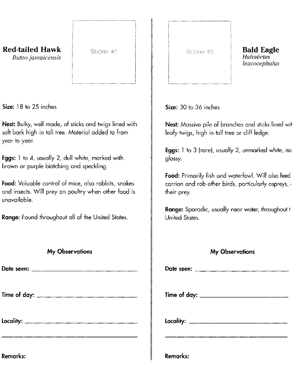 Beginning Birdwatcher's Book With 48 Stickers (Dover).pdf,第4页预览