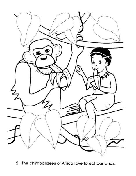 Dover Coloring Book - Animals Friends from Around the World.pdf,第3页预览