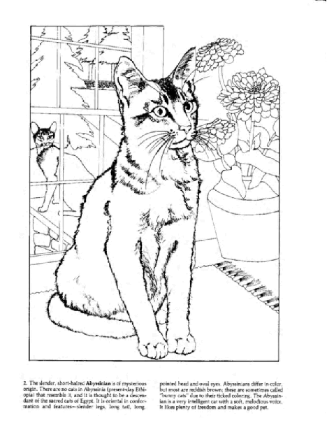 Dover Coloring Book - The Cat Coloring Book (LQ).pdf,第4页预览
