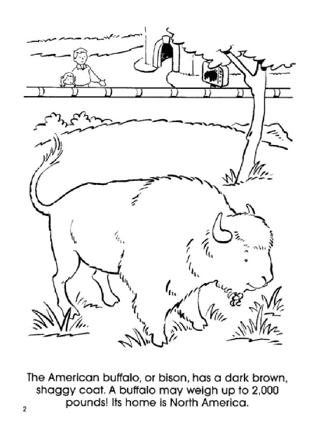 Dover Coloring Book - At the Zoo.pdf,第3页预览