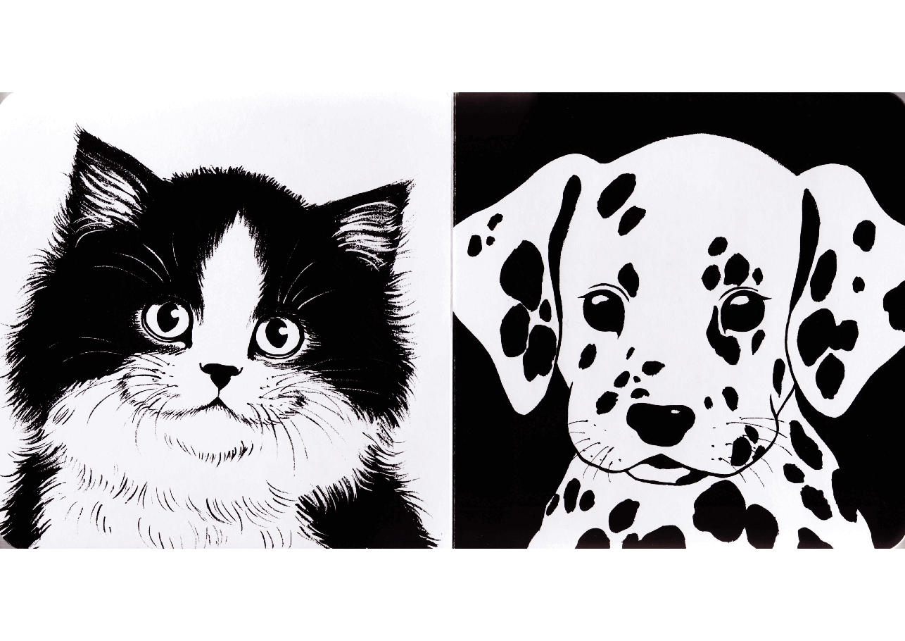 Baby Animals Black and White (1998.Charlesbridge) (Brainiac).pdf,第4页预览