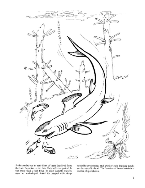 Dover Coloring Book - Before The Dinosaurs (LQ).pdf,第2页预览