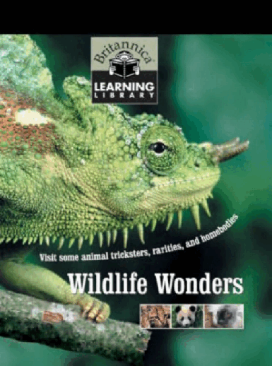 Britannica Learning Library 006 - Wildlife Wonders.pdf,第1页预览