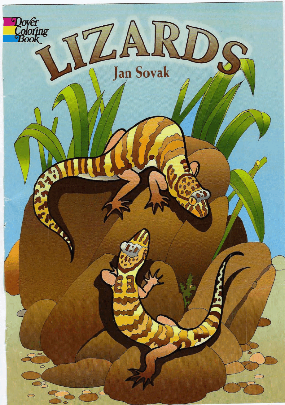 Dover Coloring Book - Lizards.pdf,第1页预览