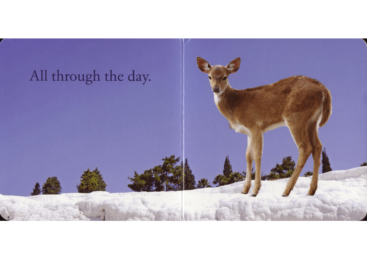 A Winter Prayer (2008.Scholastic) (Brainiac).pdf,第3页预览