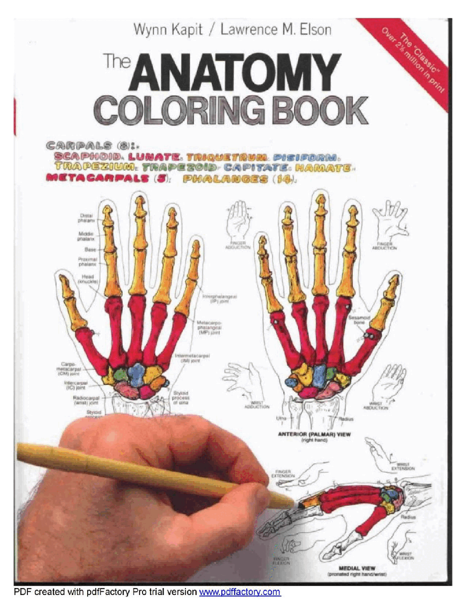 Anatomy Coloring Book.pdf,第1页预览