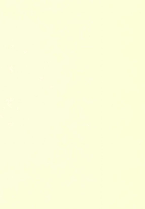 Russian Fairy Tales (1892.Lawrence & Bullen).pdf,第4页预览
