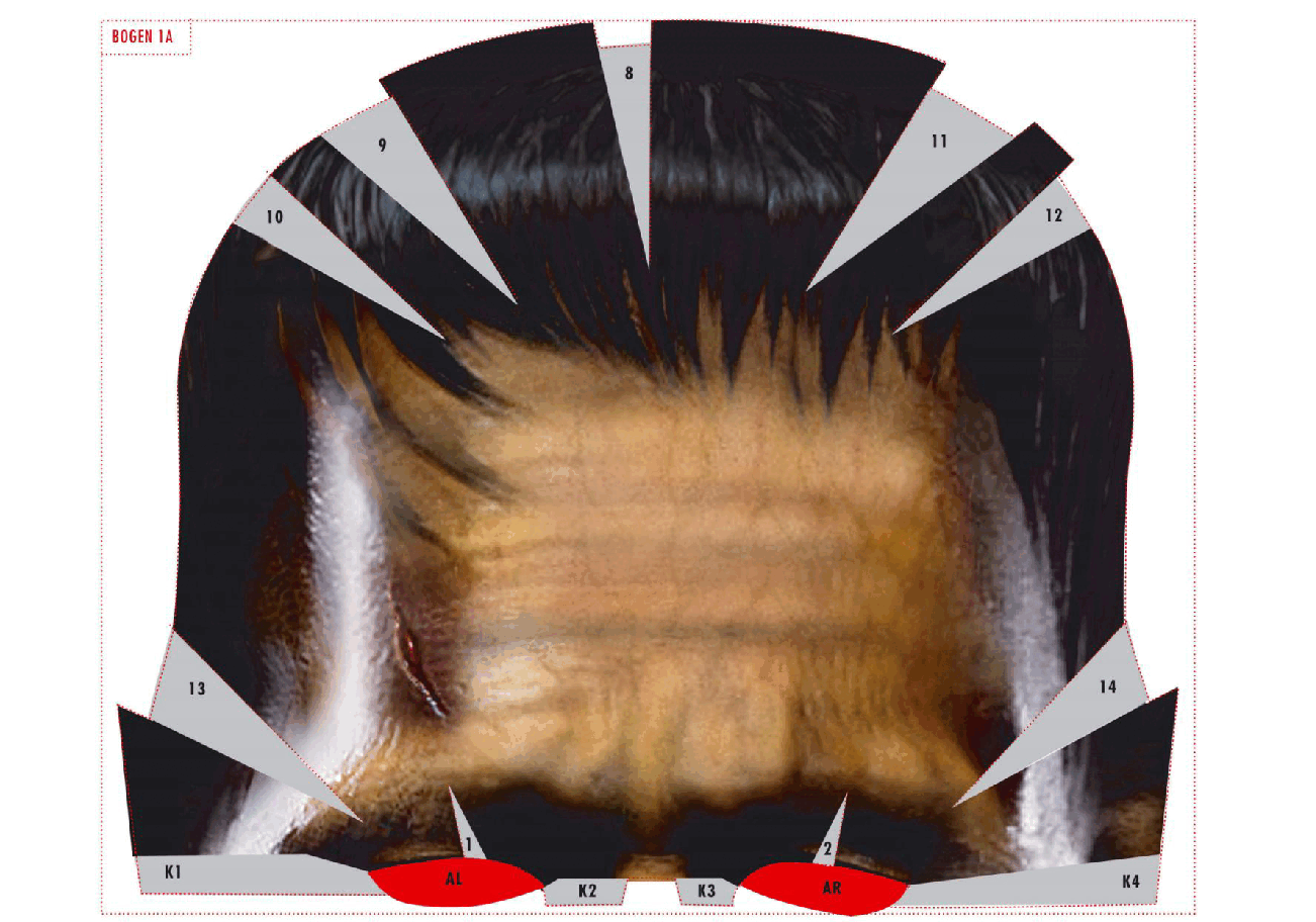 Halloween Burgfrankenstein Paper Maske (German).pdf,第3页预览