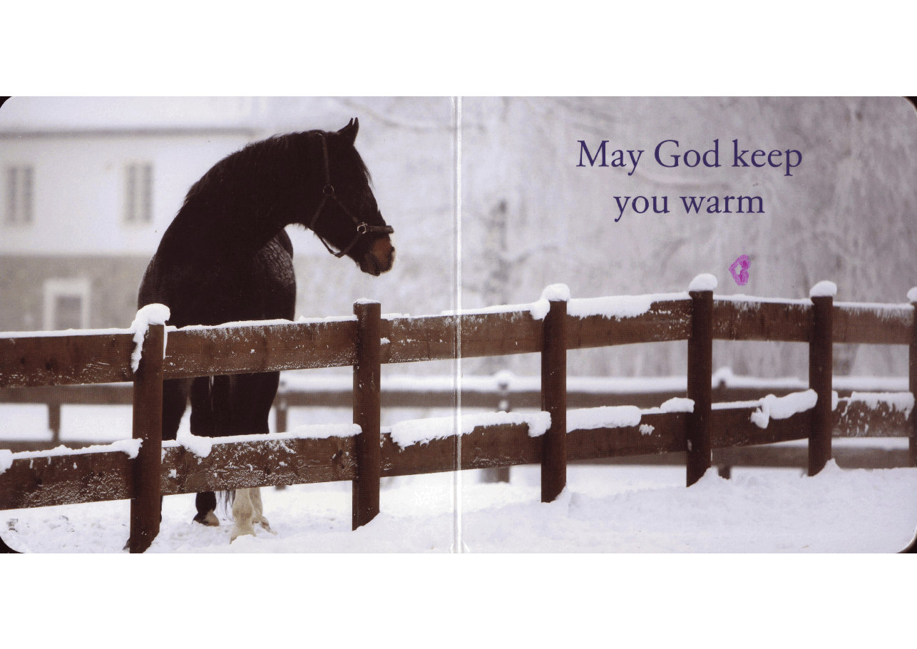 A Winter Prayer (2008.Scholastic) (Brainiac).pdf,第2页预览