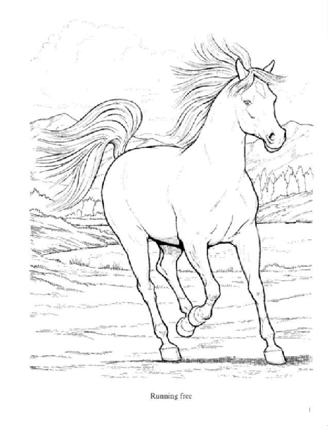 Dover Coloring Book - Wonderful World of Horses Coloring Book (LQ).pdf,第2页预览