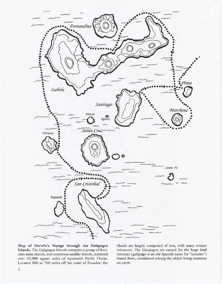 Dover Coloring Book - Galapagos Islands Coloring Book.pdf,第4页预览