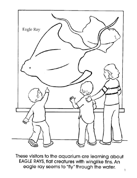 Dover Coloring Book - At the Aquarium.pdf，第2页预览