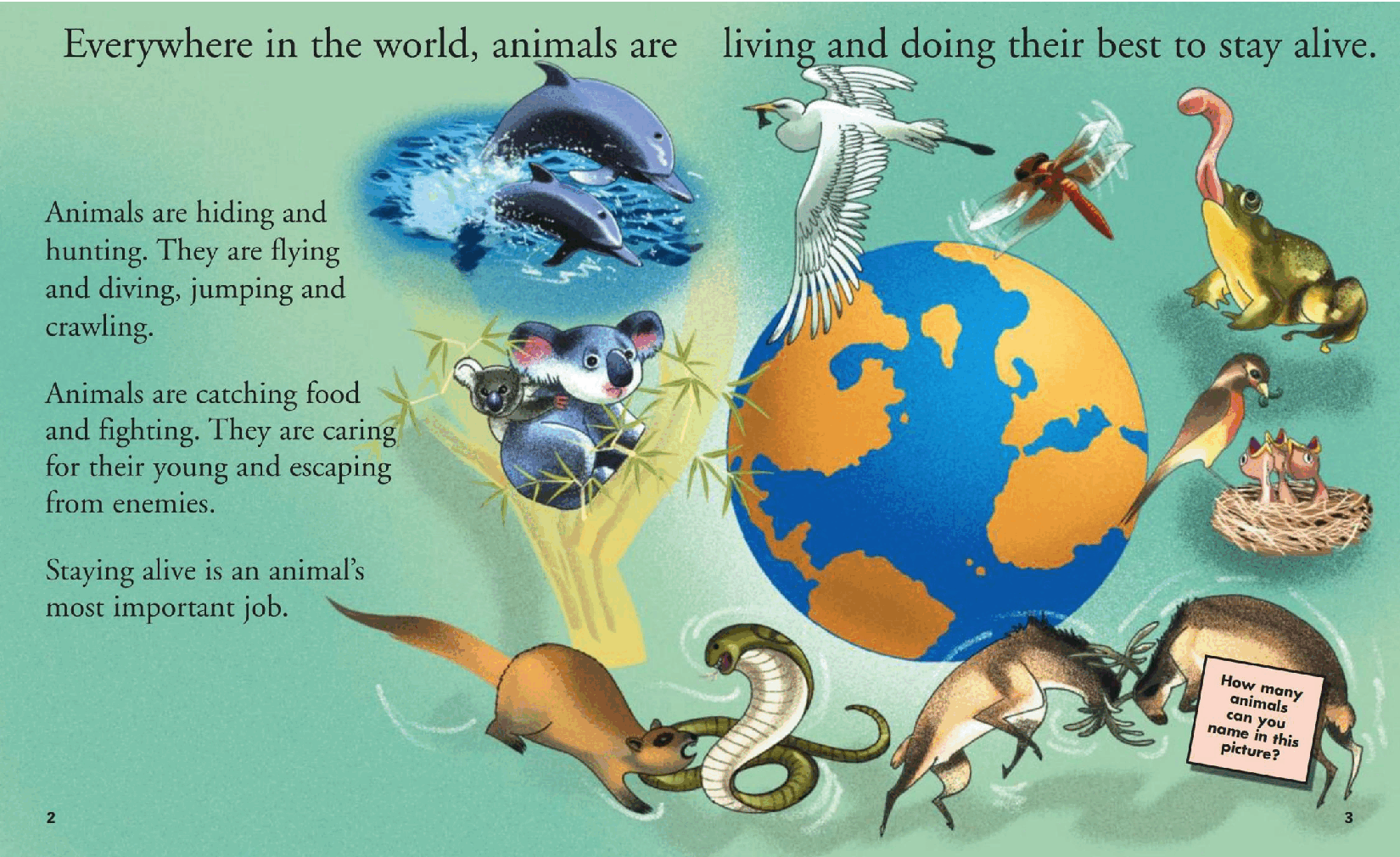 Britannica Discovery Library 005 Animals.pdf,第4页预览
