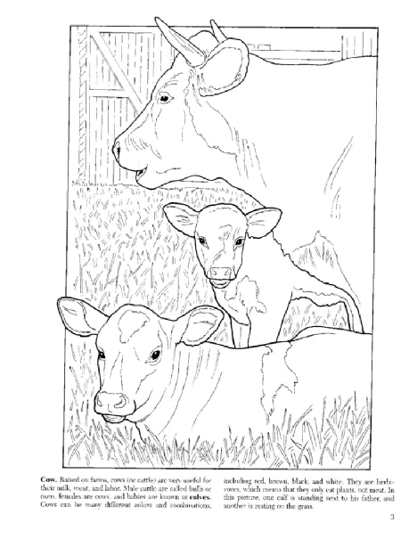 Dover Coloring Book - Baby Animals Coloring Book (LQ).pdf,第4页预览