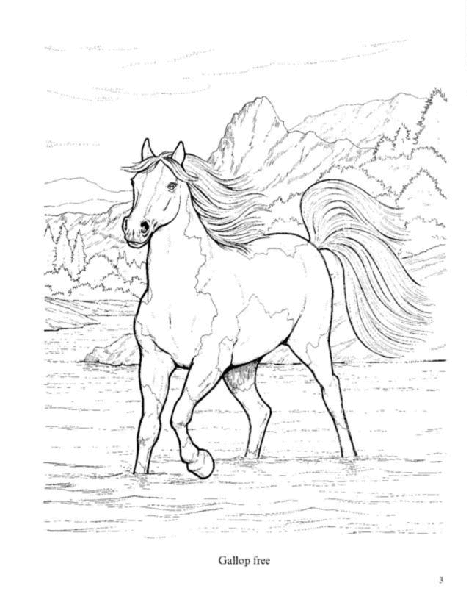 Dover Coloring Book - Wonderful World of Horses Coloring Book (LQ).pdf,第4页预览