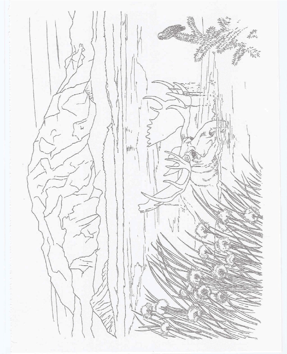 Dover Coloring Book - America the Beautiful to Paint or Color.pdf,第4页预览