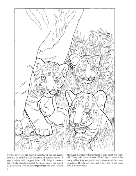 Dover Coloring Book - Baby Animals Coloring Book (LQ).pdf,第3页预览