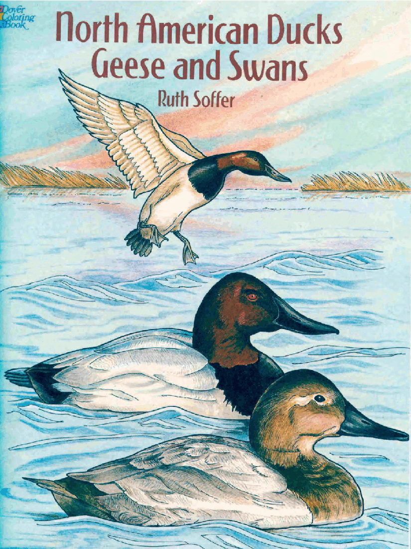 Dover Coloring Book - North American Ducks Geese and Swans (1996).pdf,第1页预览